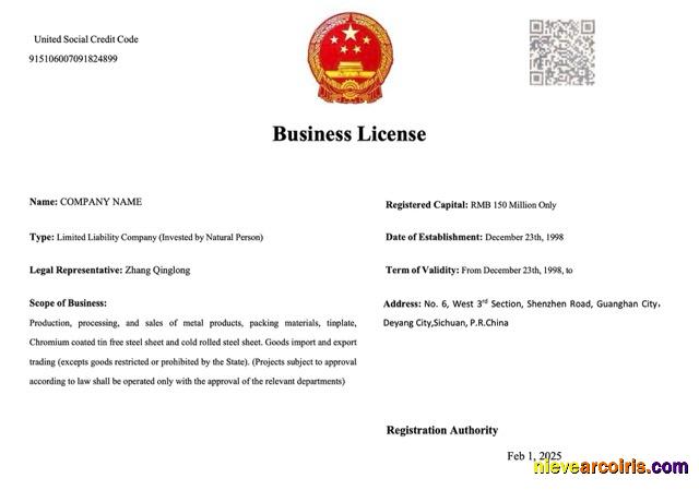 China business license